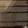 Bruce Springsteen Rockin Live From Italy 1993 Cd Image 5