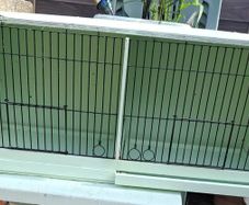 Bird Cages