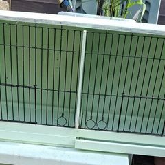 Bird Cages