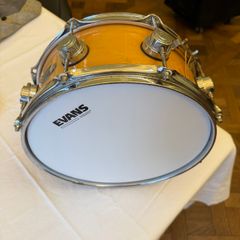 DW collector series