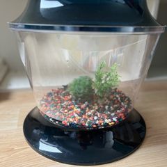 Fish Bowl