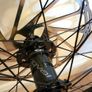Specialized Roval Traverse Alloy 29" - MTB Wheel Set Image 4