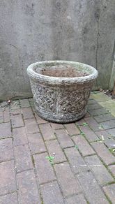 Plant flower pot