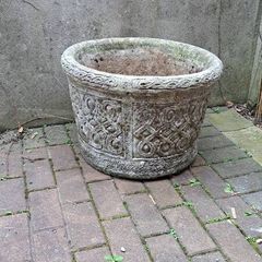 Plant flower pot