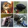 Magnet Fishing D60mm 115kg 20m rope Image 6