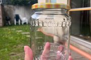 Glass jar 0,720 L