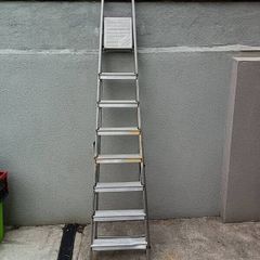 ladder