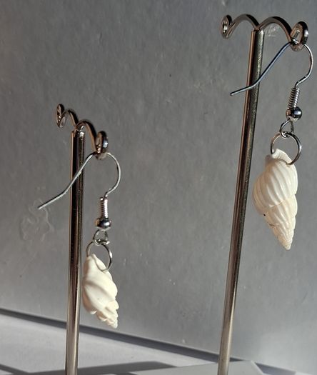 Mini Conch Spiral Shell Earrings