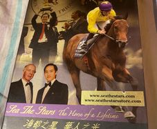sea the stars the horse of a lifetime boxed dvd