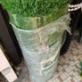 artificial grass still available will deliver Image 2