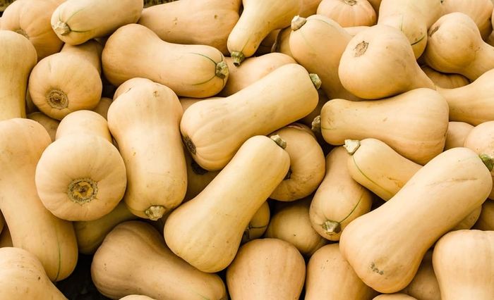 Mini Butternut Squash Seeds
