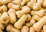Mini Butternut Squash Seeds