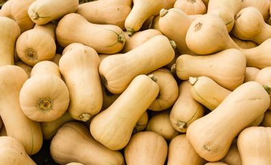 Mini Butternut Squash Seeds