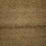 Rug Carpet 170x125cm Image 3
