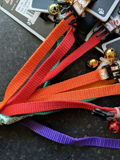Cat collar with bell