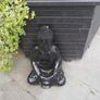 Buddha statue Image 8