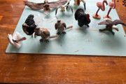 Schleich birds