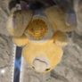 Funshine Sunshine Vintage Care Bear Carebear Plush Kenner 6.5inch 1983 Image 4