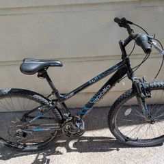 Apollo phaze mountain bike