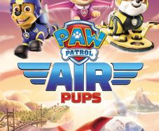 Paw Patrol - Air Pups (Brand New & Sealed) (DVD)