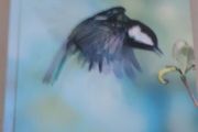 birds book