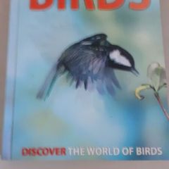 birds book