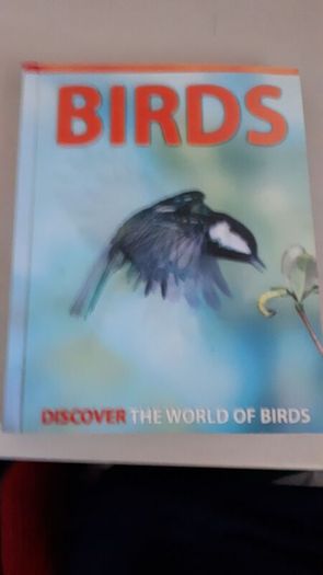 birds book