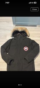 canada goose