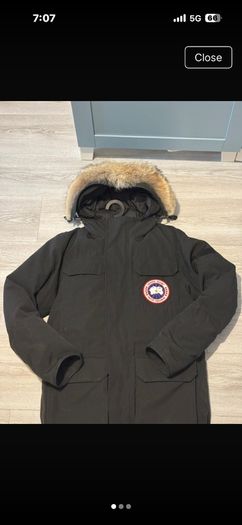 canada goose
