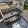 Huge Rodent cage Image 2