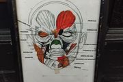 Medical Chart Framed