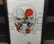 Medical Chart Framed