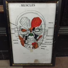 Medical Chart Framed