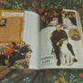 Only fools and horses book Image 7