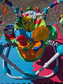 Baby Bouncer (Einstein)