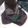Witches costume (Halloween) ( fancy dress) Image 7