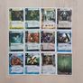 Call of Cthulhu Horror Card Game Fantasy Flight Games OOP Image 5