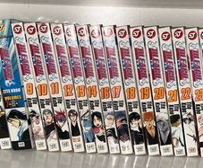 Bleach Manga