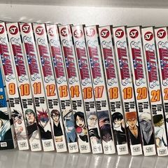 Bleach Manga
