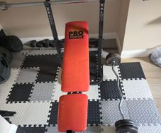 Bench