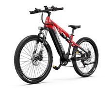 DUOTTS E29 Electric Bike