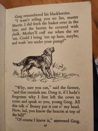 Boneywas A Warrior. By Rosemary Manning. Hardback With Dustjacket In Fair Condition.