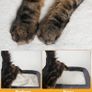 Cat Tree Tower for Large Adult Cats, 50 40cm Big Perch Bed,Spacious Condo House for Indoor Kitten, Sisal Scratching Post, Dark Gray Image 3