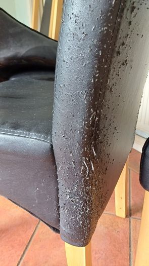 chair