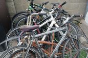 bikes