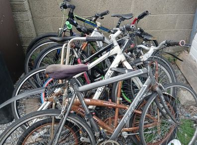 bikes
