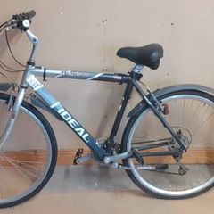 Mens Bike