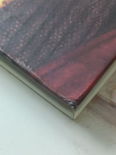 Angels Day Book - Dateless Diary / Journal (Hardcover)