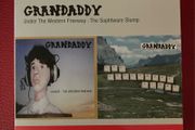 Grandaddy - Under The Western Freeway : The Sophtware Slump