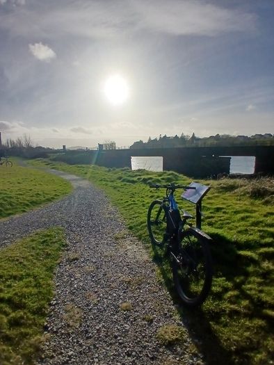 Ebike Bfang Motor